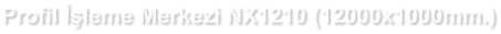 Profil İşleme Merkezi NX1210 (12000x1000mm.)