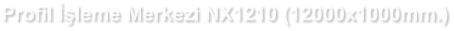 Profil İşleme Merkezi NX1210 (12000x1000mm.)